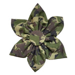 Huxley & Kent® Camo Dog Pinwheel by Huxley & Kent -Large-Dog-Huxley & Kent-PetPhenom