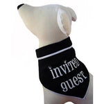 I See Spot Invited Guest Scarf in Black -Large-Dog-I See Spot-PetPhenom