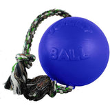 Jolly Pets Romp-n-Roll Rope and Ball Dog Toy, 4.5 Inches/Small, Blue