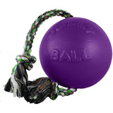 Jolly Pets Romp-n-Roll Rope and Ball Dog Toy, 4.5 Inches/Small, Purple