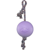 Jolly Pets Romp-n-Roll Rope and Ball Dog Toy, 8 Inches/Large, Light Purple
