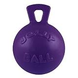 Jolly Pets Tug-n-Toss Heavy Duty Dog Toy Ball with Handle, 4.5" Small, Purple