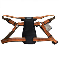 K9 Explorer Reflective Adjustable Padded Dog Harness - Campfire Orange, Fits 26"-38" Girth-Dog-Coastal Pet Products-PetPhenom