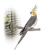 K&H Pet Products Bird Thermo-Perch Gray 10.5" x 1" x 1"-Bird-K&H Pet Products-PetPhenom