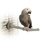 K&H Pet Products Bird Thermo-Perch Gray 13" x 1.25" x 1.25"-Bird-K&H Pet Products-PetPhenom