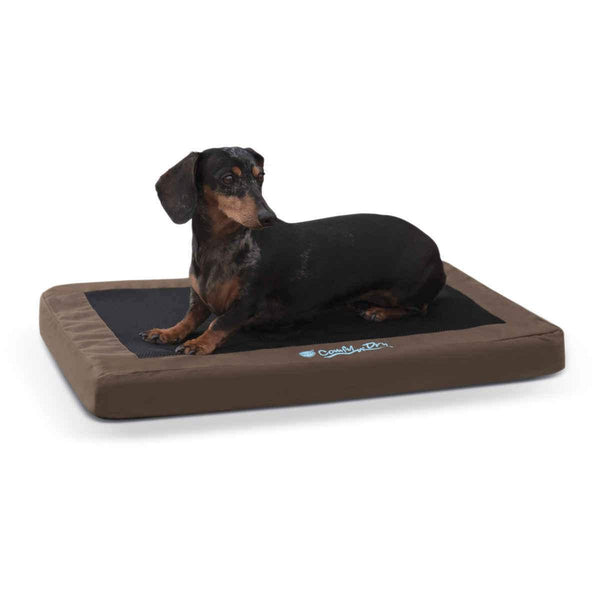 K&H Pet Products Comfy n' Dry Indoor-Outdoor Pet Bed Small Chocolate 18" x 26" x 2.5"-Dog-K&H Pet Products-PetPhenom