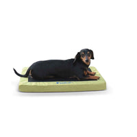 K&H Pet Products Comfy n' Dry Indoor-Outdoor Pet Bed Small Green 18" x 26" x 2.5"-Dog-K&H Pet Products-PetPhenom