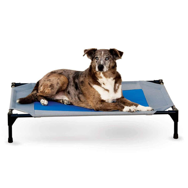 K&H Pet Products Coolin' Pet Cot Large Gray / Blue 30" x 42" x 7"-Dog-K&H Pet Products-PetPhenom