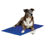 K&H Pet Products Coolin Pet Pad Extra Large Blue 27" x 38" x 0.75"-Dog-K&H Pet Products-PetPhenom