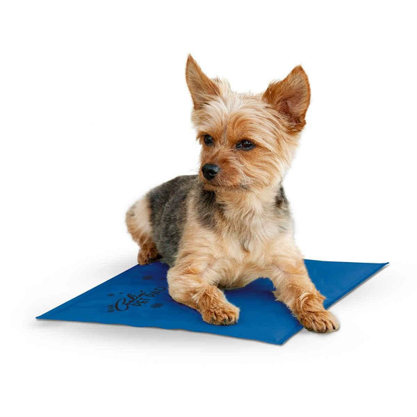 K&H Pet Products Coolin Pet Pad Small Blue 11" x 15" x 0.75"-Dog-K&H Pet Products-PetPhenom