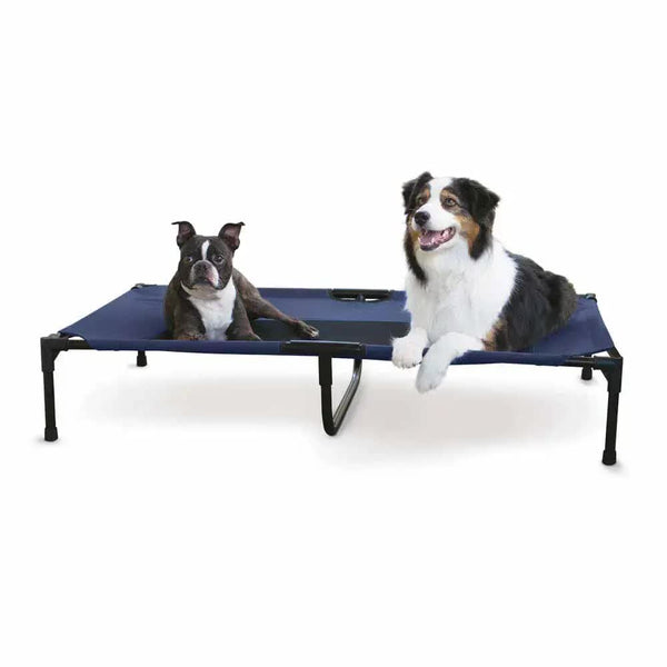 K&H Pet Products Original Pet Cot Elevated Pet Bed Extra Large Blue 32" x 50" x 9"-Dog-K&H Pet Products-PetPhenom