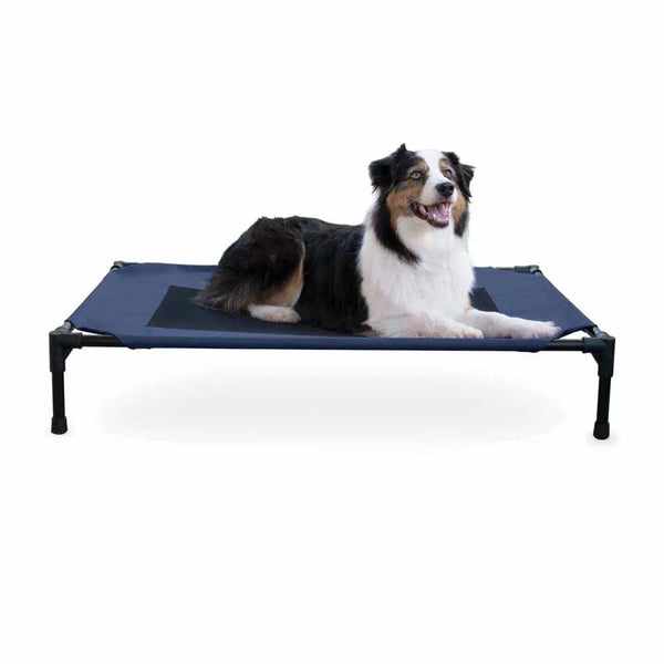 K&H Pet Products Original Pet Cot Elevated Pet Bed Large Blue 30" x 42" x 7"-Dog-K&H Pet Products-PetPhenom