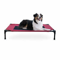 K&H Pet Products Original Pet Cot Elevated Pet Bed Large Red 30" x 42" x 7"-Dog-K&H Pet Products-PetPhenom