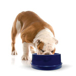 K&H Pet Products Pet Coolin' Bowl 96 ounces Blue 11.5" x 11.5" x 4"-Dog-K&H Pet Products-PetPhenom