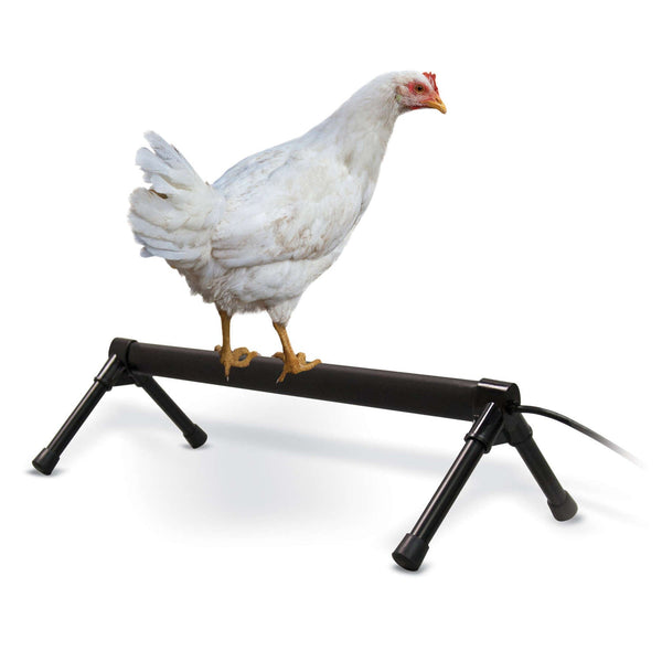 K&H Pet Products Thermo-Chicken Perch Gray 26" x 14" x 8"-Small Pet-K&H Pet Products-PetPhenom