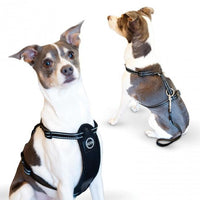 K&H Pet Products Travel Safety Pet Harness Extra Large Black-Dog-K&H Pet Products-PetPhenom