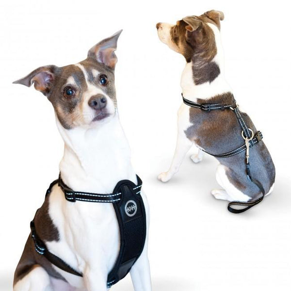 K&H Pet Products Travel Safety Pet Harness Medium Black-Dog-K&H Pet Products-PetPhenom