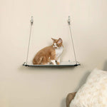 K&H Pet Products Wall Mounted Cat Shelf Single Level Natural 23" x 12" x 20"