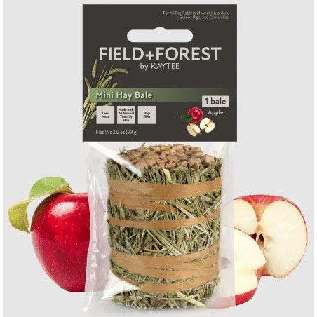 Kaytee Field and Forest Mini Hay Bale Apple, 1 count-Small Pet-Kaytee-PetPhenom