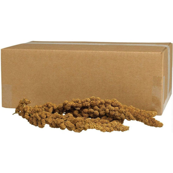 Kaytee Natural Gold Spray Millet for Birds, 5 lbs-Bird-Kaytee-PetPhenom