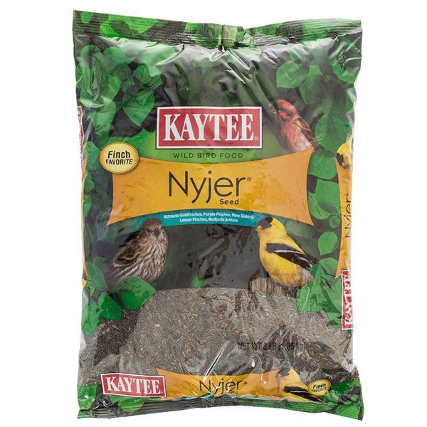 Kaytee Nyger Seed Bird Food, 3 lbs-Bird-Kaytee-PetPhenom