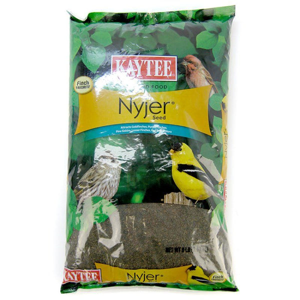 Kaytee Nyger Seed Bird Food, 8 lbs-Bird-Kaytee-PetPhenom