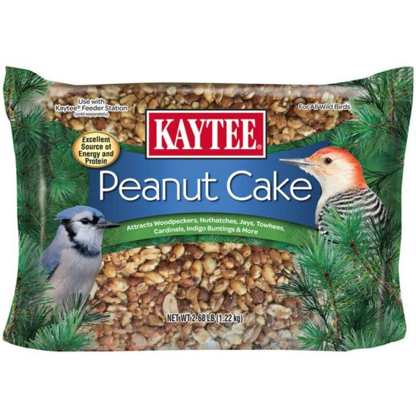 Kaytee Wild Bird Energy Cake With Peanut , 2.68 lbs-Bird-Kaytee-PetPhenom