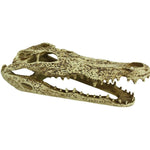 Komodo Alligator Skull Terrarium Decoration, 1 count-Small Pet-Komodo-PetPhenom