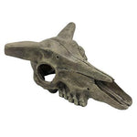 Komodo Deer Skull-Small Pet-Komodo-PetPhenom