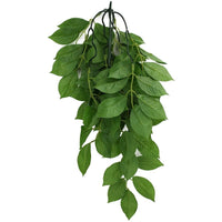 Komodo Grean Leaf Hanging Vine Terrarium Plant, Large - 1 count-Small Pet-Komodo-PetPhenom