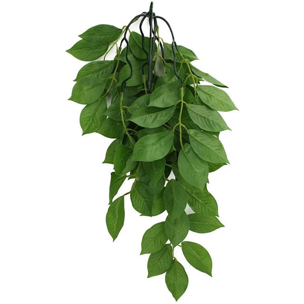 Komodo Grean Leaf Hanging Vine Terrarium Plant, Large - 1 count-Small Pet-Komodo-PetPhenom