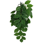 Komodo Grean Leaf Hanging Vine Terrarium Plant, Small - 1 count-Small Pet-Komodo-PetPhenom