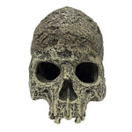Komodo Human Skull Textured-Small Pet-Komodo-PetPhenom