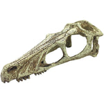 Komodo Raptor Skull Terrarium Decoration, Large - 1 count-Small Pet-Komodo-PetPhenom