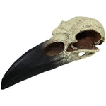 Komodo Raven Skull Terrarium Decoration, Large - 1 count-Small Pet-Komodo-PetPhenom