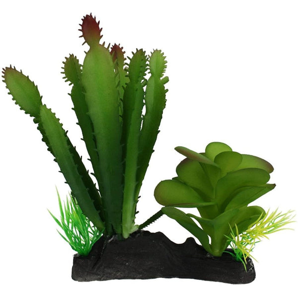 Komodo Succulent and Cactus Habitat Ornament, 1 count-Small Pet-Komodo-PetPhenom