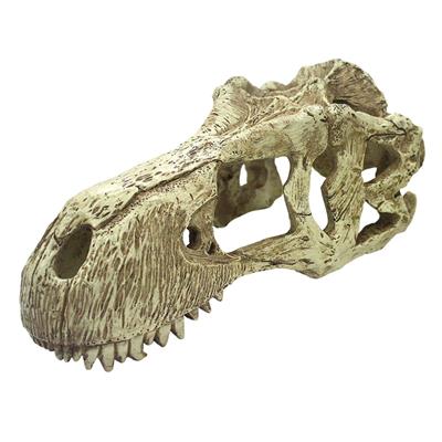 Komodo T-Rex Skull -Large-Small Pet-Komodo-PetPhenom