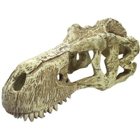 Komodo T-Rex Skull Terrarium Decoration, X-Large - 1 count-Small Pet-Komodo-PetPhenom