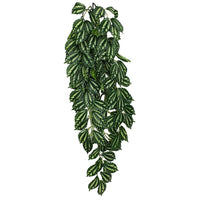 Komodo Two-Tone Hanging Vine Terrarium Plant, Large - 1 count-Small Pet-Komodo-PetPhenom