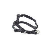 Kruuse_Pet BUSTER Reflective Mesh Step-In Dog Harness - Small - Green-Dog-Kruuse_Pet-PetPhenom