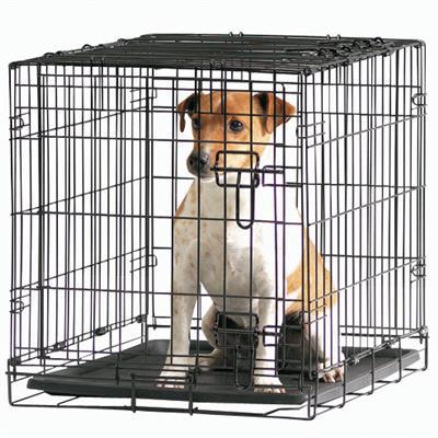 Kruuse_Pet Savic Dog Cottage -24 in-Dog-Kruuse_Pet-PetPhenom
