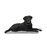 Kruuse_Pet Vet Bed Anti-Slip Grey -24 x 24 in-Dog-Kruuse_Pet-PetPhenom
