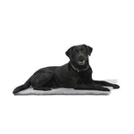 Kruuse_Pet Vet Bed Anti-Slip Grey -35.5 x 24 in-Dog-Kruuse_Pet-PetPhenom