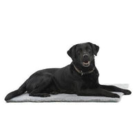 Kruuse_Pet Vet Bed Grey -26 x 20 in-Dog-Kruuse_Pet-PetPhenom