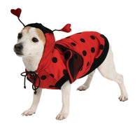 Ladybug Pet Costume-Costumes-Rubies-Small-PetPhenom