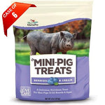 Manna Pro Manna Pro Mini Pig Treats Berry & Cream 4 lb bag-Small Pet-Manna Pro-PetPhenom