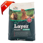 Manna Pro Manna Pro Poultry Feed 16% Layer Pellet with Probiotic 8 lb-Chicken-Manna Pro-PetPhenom