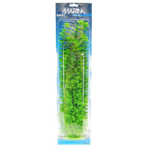 Marina Aquascaper Ambulia Plant, 20" Tall-Fish-Marina-PetPhenom