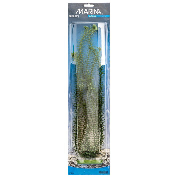 Marina Aquascaper Anacharis Plant, 20" Tall-Fish-Marina-PetPhenom