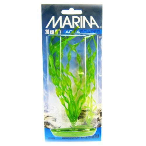 Marina Corkscrew Val Plant, 8" Tall-Fish-Marina-PetPhenom